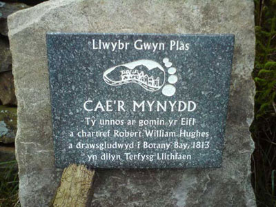 Cae'r Mynydd